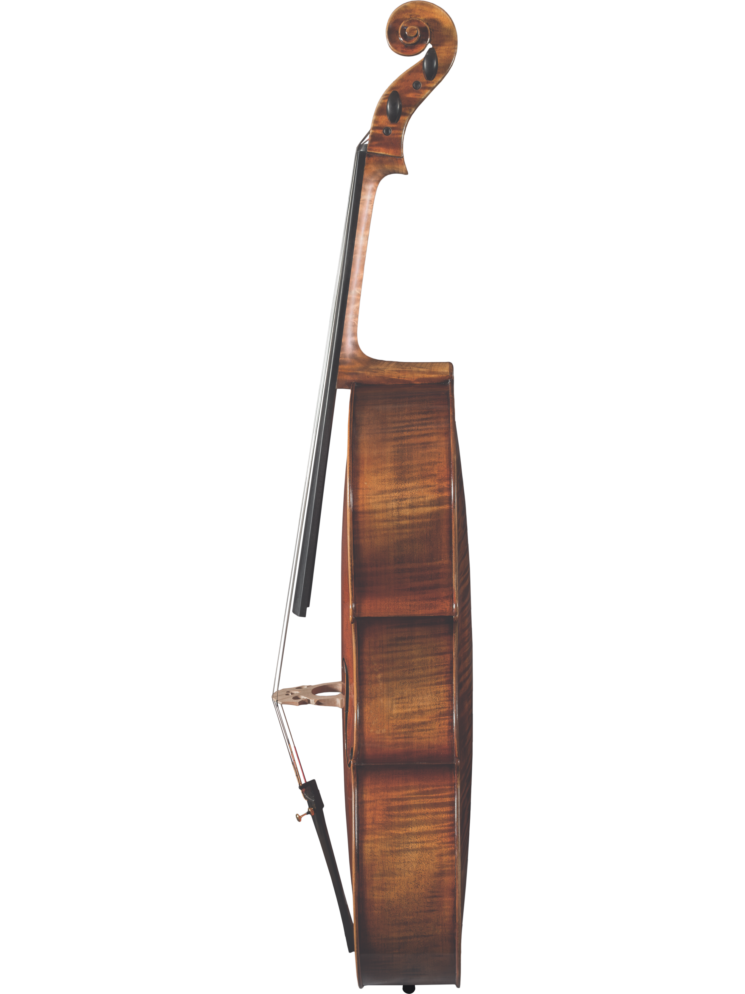 Lady Claire Cello — Maple Leaf Strings